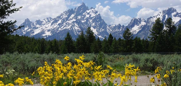 Jackson-Hole-Wyoming-Attractions